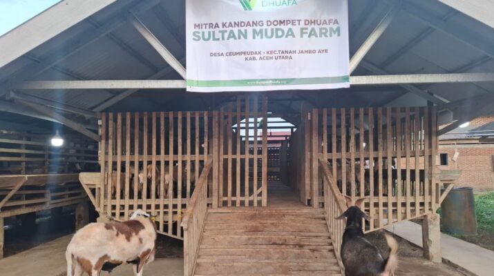 Penyaluran Kurban untuk Korban Banjir di Aceh Diperketat, Hewan Dipastikan Layak dan Sehat
